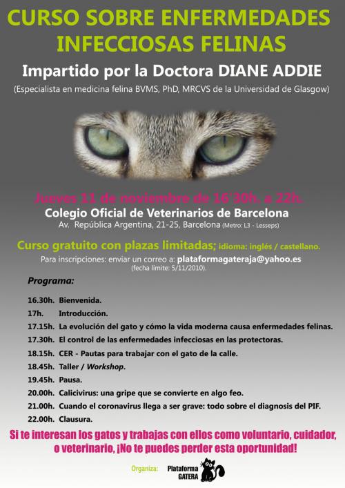 11 de Noviembre 2010: Curso sobre Enfermedades Infecciosas Felinas