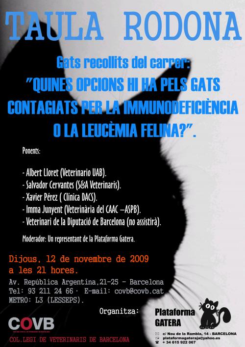 12 de Noviembre 2009: TAULA RODONA al COVB: Quines opcions hi ha per als gats contagiats per la immunodeficiència o la leucèmia felina?